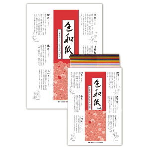 色和紙 夏休み 男の子 女の子 小学生 低学年 高学年 子供 幼児 大人 25色組 B5判 子供会