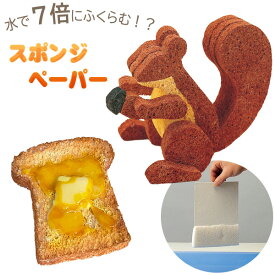 【エントリーP10倍】工作キット スポンジペーパー 大270×190mm 冬休み 男の子 女の子 小学生 低学年 高学年 子供 幼児 大人向け 子供会