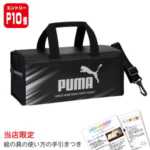 �y�G���g���[P10�{�z�v�[�} �G�̋�Z�b�g �V���o�[ �G�̋�̎g�����t�� ���w�Z ���w�� �j�̎q ���̎q ��ރZ�b�g PUMA2025 PM526