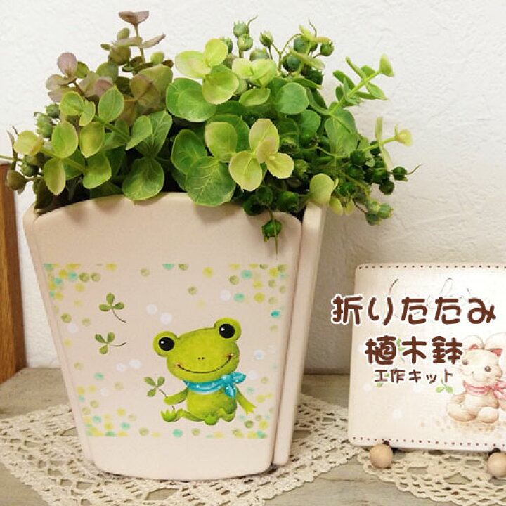 楽天市場 工作キット 折りたたみ植木鉢 夏休み 男の子 女の子 小学生 低学年 高学年 子供 幼児 大人 学校教材クラフト品のトーヨー教材