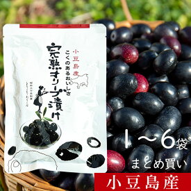 ＼お買い物マラソン！ 2/10(火)01:59まで／ 小豆島産 完熟オリーブ漬け 80g 単品 まとめ買い 東洋オリーブ 季節限定 小豆島 国産 100% 手摘み オリーブの実 塩漬け 種あり ライプ 高級 パウチ 常温 プレゼント 手土産