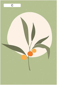 EBhEtB ډB \Ă͂ ΍ Ռ tB fM KXV[g OJbg CeA  œ\ C rO[ x_ ݓK