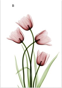 EBhEtB ߂V[g \Ă͂ Ռ ԕ tB  fM   xbh[  rO  Ȃ V[ œ\ V Vzj K