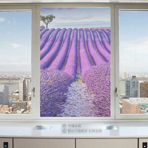 ptB KX ȕi x_[ fMV[g CeAV[ ډB Ռ  Őڒ ΍ KXV[g Ȃ Q C  pډBtB