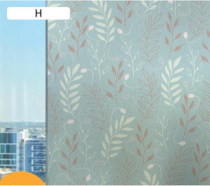 fMV[g ptB KX t  œ\ ډBV[g OJbg Ռ KX ݓKp ItBX C Xg 䏊 ړ]j V   