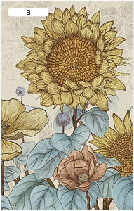 KXtB 肪炷ډBV[g  Ђ܂蕿 CeA ԕ  KXfMV[g 57x90cm p O猩Ȃ KXɓ\V[g œ\ Ռ 悯 