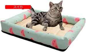  xbh L xbh ybgxbh ėp Ђ  ΍ MǑ΍ N[}bg p}bg ybg}bg p}