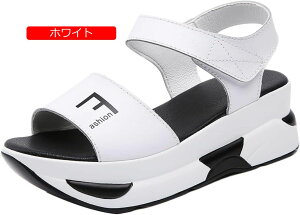 T_ X|[cT_ }WbNe[v fB[X y 5CMq[ EGbW\[ ₷ ɂȂ ANXg