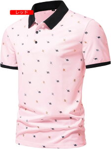 |Vc Y {^_E 傫TCY X|[c   rWlX  StEFA am ݕt ʋC 풅 K _炩 JWA ĕ lC Xgb` f g