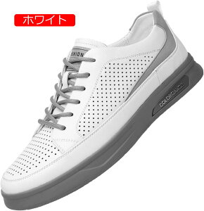 JWAV[Y [XAbvV[Y Y {v 3E L ėp bVC T_ fbLV[Y Xj[J[ AEghA Ȃ RtH[g ʋC  ~ߕt