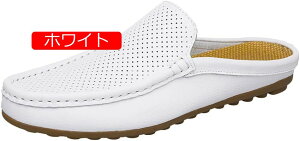 rWlXXbp Y rWlXV[Y [t@[ ƂȂXbp ItBXT_ JWA vC  ʋC y ~ ʋ Ey DD06