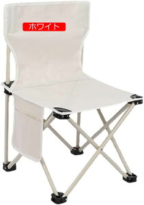 AEghA`FA ܂肽݈֎q y ω׏d300kg gݗĊȒP KȍSn [obOt ނ o[xL[ AEghA Lvpi (ubN)