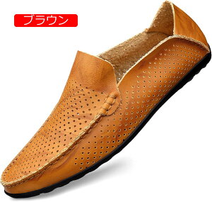 hCrOV[Y Y 傫TCY y Xb|V[Y ʋC ₷ Ɠ߂ vC amC rbWlXV[Y Ep ItBX T[} JV C JWA