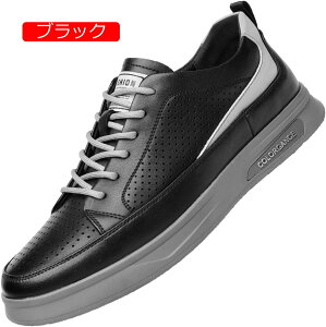 JWAV[Y [XAbvV[Y Y {v 3E L ėp bVC T_ fbLV[Y Xj[J[ AEghA Ȃ RtH[g ʋC  ~ߕt