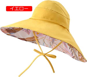 AEghA Xq n] fB[X ToCU[  ΍L UVJbgX ʋ ʊw TCY\ O΍ Ăh~ Xq^ jp  ʋ ʊwiF33j