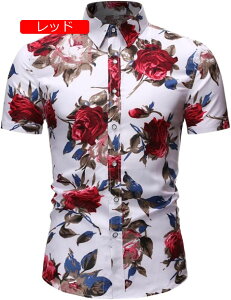 IbNXtH[hVc 傫TCY  Y Vc I[o[TCY {^Vc CVc Y gbvX  hL JWAVc Y Vv IV K y 