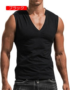 m[X[u Y ĕ  ⊴ g[jO ⊴  Ci[Vc 傫TCY N[lbN  m[X[u W  jO  K ʋC _炩 ĕ 