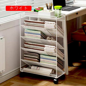 ˁA[I 6i e fXNTCh{I ubNVFt LX^[t  t@CS 42x17x65cm X { @\{I ω׏dǍD ȏ G{I  G[ q