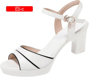 ČC T_ fB[X ₷ r[`T_ T_ ItBXT_ ȂT_ T}[ I[vgD t@bVT_ EFbW\[ ~[ obN 