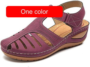 T}[T_ GXph[ EFbW\[ T_ fB[X  Xbp ~[ r[`T_ ItBXT_ ɂ lC T_ T{T_ JWA y E