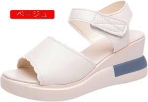 T_ X|[cT_ fB[X Xj[J[ ₷ EFbW\[ T_ I[vgD T_ u[cT_ T}[u[c ČC r[`T_ ȂT_ 