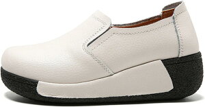 C [t@[ L b fB[X JWA ItBX Xb| JWAV[Y y h 傫TCY fbLV[Y ^C RtH[g [NV[Y ᔽ r 