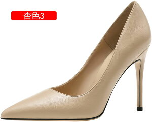 pvX fB[X q[10cm/8cm/6cm ₷ |CebhgDpvX r OL ʋ  ɂȂ p[eB[   ꂢ  Ȃ d d