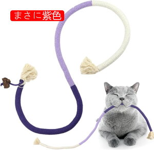 L̏̂ C^NeBuL炵񃍁[v | CknbJ̍̉pC^NeBuLAL̉^p̓VReB[U[h Pareks