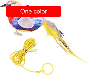 L炵A ̔L̂  - ̌`̂킢炩  ƒpXNC[NL̂ AP[WAhAt[AybgA qLAp̖