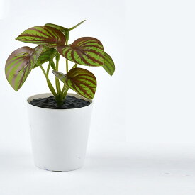 フェイクグリーン 9点セット グリーン4 大型 ミニ 9*12cm 観葉植物 造花 鉢付き おしゃれ 室内インテリア 玄関 リビング オフィス用 グリーン装飾 ギフト 本物そっくり 幸運の木 消臭 除