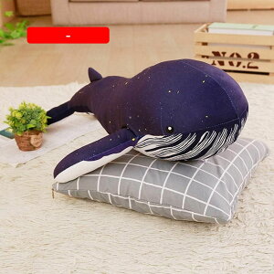 NWʂ fUC  킢   ViKXN NW  Q ӂӂ  l` xbh[ v[g X ̓ ǂ̓ a 60cm wj