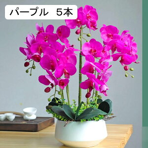 ԃCeA Ӓ A[gt[ u ͂Ȃ  픫 ϗtA A ȒPb炸 ~jԊ k A[g ins   X iX K[f u 蕨 ʐ^