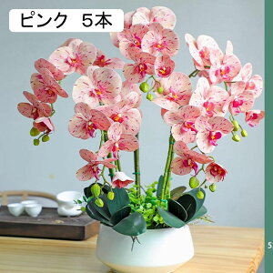 ԃCeA Ӓ A[gt[ u ͂Ȃ  픫 ϗtA A ȒPb炸 ~jԊ k A[g ins   X iX K[f u 蕨 ʐ^