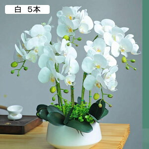 ԃCeA Ӓ A[gt[ u ͂Ȃ  픫 ϗtA A ȒPb炸 ~jԊ k A[g ins   X iX K[f u 蕨 ʐ^