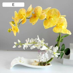 ԃCeA Ӓ 픫 ԃO[ ͂Ȃ  u ϗtA A { ͂ȂO[ ~jԊ k A[g ins Be p z[ 뉀 Lb` It