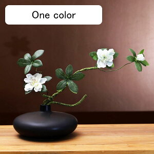  ͂Ȃ 픫 ԃCeA ϗtA  A[gt[ t[AWg { lH lHA sv  _ k z[  