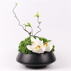  ͂Ȃ ԃCeA 픫 t[AWg  ԑA { ԕr ϗtA lH  _ k z[ Be  蕨