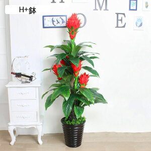 ԃCeA ^Ηt ʕ  Ӓ ݂ ͂Ȃ  ϗtA A ԃO[ ԃACr[ { sv k ins  v[g p 