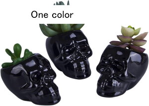 ubNZ~bNXJ^Av^[|bg3Zbg NGCeBuT{eA|bg yMz_[ z[ItBXfXNfR[V