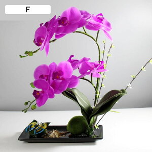 ԃCeA Ӓ A A[gt[  ԃZbg ͂Ȃ  ϗtA A { ~jԊ bsv k ins  蕨 K[f   