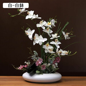  ͂Ȃ A[gt[ XK ԃCeA 픫 ϗtA  A { lHA ϗtA ͂Ȃ k ins  u[P   