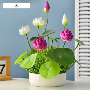  ? ԃCeA tFCN A[gt[ ͂Ȃ ԃZbg  ϗtA A { ԕrt Q쏜sv  _ k CeA 蕨 x_ 