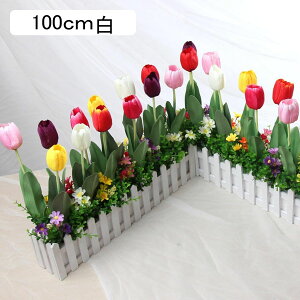 ԃZbg ԃCeA `[bv  ͂Ȃ  ϗtA A { ͂Ȃ p[eB[̌ z[K[f =k ins   Mtg