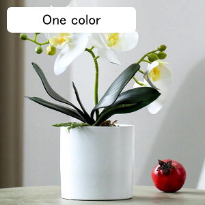 ԃCeA A Ӓ u ~͐A ͂Ȃ  ϗtA A { Q쏜sv  _ k K[f u 蕨 ʐ^Be K[fj