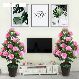 ͂Ȃ ԃCeA O ڂ  o lHϗtA CeAO[ { ^Ηt ϗt   p ԕrt k ins  CeA 蕨