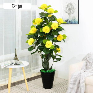  ͂Ȃ o 񂵂 ԃO[ ^ ԃCeA ϗtA  ԑA { A ϗt lHA k A[g ins 蕨 v[g p 