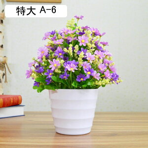  ͂Ȃ qiMN e ԃCeA ϗtA 񂹐A A  ԑ A { ~jԊ ȒPb炸 k A[g ins    CeA