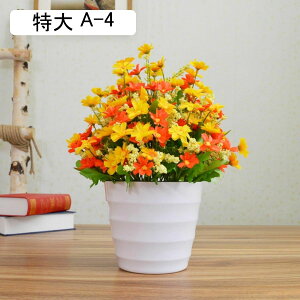  ͂Ȃ qiMN e ԃCeA ϗtA 񂹐A A  ԑ A { ~jԊ ȒPb炸 k A[g ins    CeA