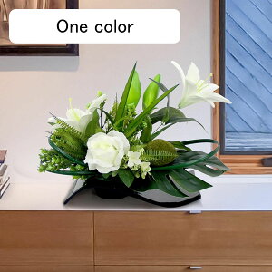  ͂Ȃ  o ԃCeA ϗtA  u A z[K[f { ԕrt ȒPb炸 k A[g ins    CeA /