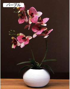  ͂Ȃ Ӓ tFCN A ԃCeA ~jԊ ϗtA  ԑ A { ȒPb炸  _ k    CeA